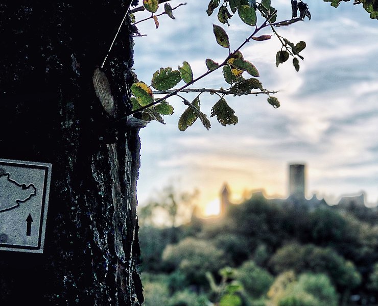 Blick auf die Nürburg