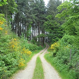 Aufstieg nach Wershofen