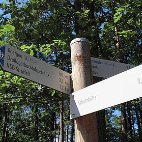 Partnerweg des Eifelsteiges_Beschilderung_gelbe Spitze