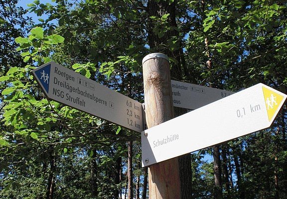 Partnerweg des Eifelsteiges_Beschilderung_gelbe Spitze
