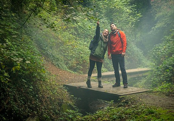 Holzbrücke der Maibachklamm