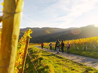 Weinherbst Mittelahr- Wanderer