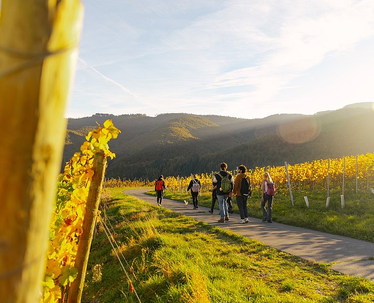 Weinherbst Mittelahr- Wanderer