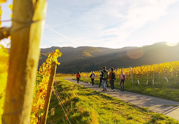 Weinherbst Mittelahr- Wanderer