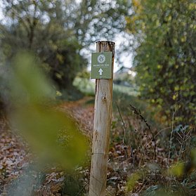 Unterwegs auf dem Waldretter-Trail