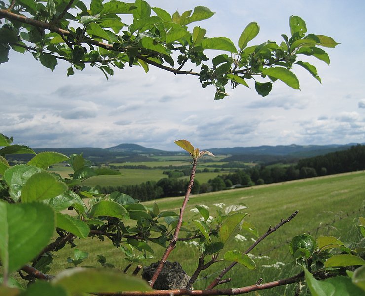 Panoramablick Leudersdorf