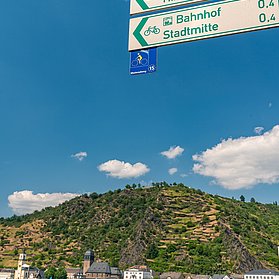 Beschilderung Rheinradweg