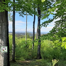 Landschaft rund um die Nürburg