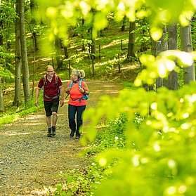 Wandern durch die grüne Hölle