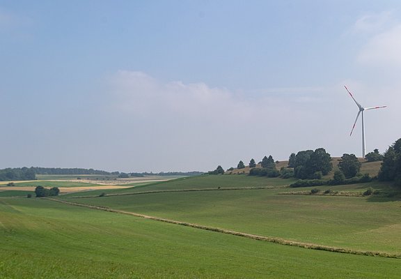 Blick über Wiesen
