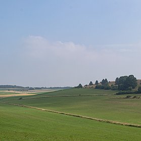 Blick über Wiesen