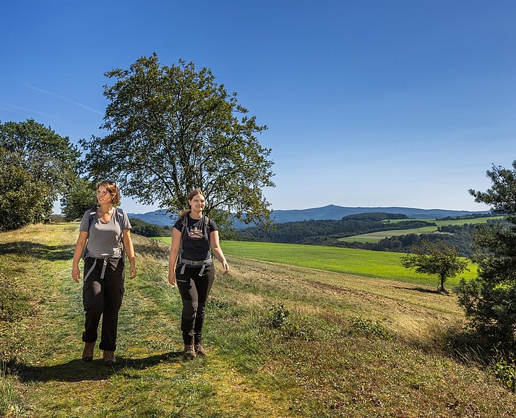 Hürstnück mit Blick auf die Hohe Acht
