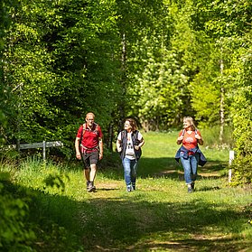 Unterwegs im Hocheifelwald