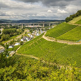 Blick auf die Landskrone