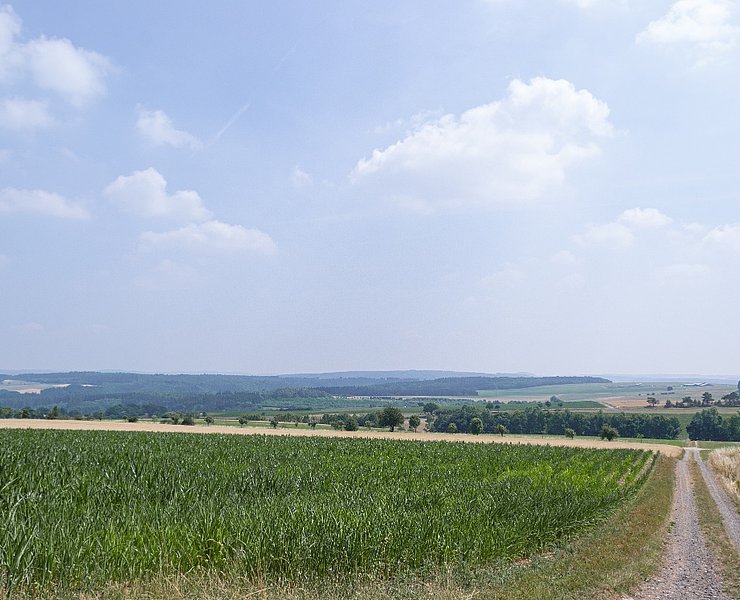 Blick über Felder
