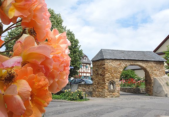Rosendorf Löhndorf