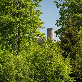Burgruine Nürburg mitten in der "Grünen Hölle"