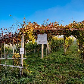 Natur & Stadt