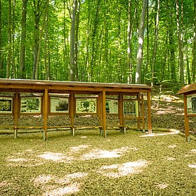 Waldentdeckerpfad Bad Neuenahr-Ahrweiler