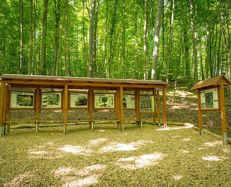 Waldentdeckerpfad Bad Neuenahr-Ahrweiler