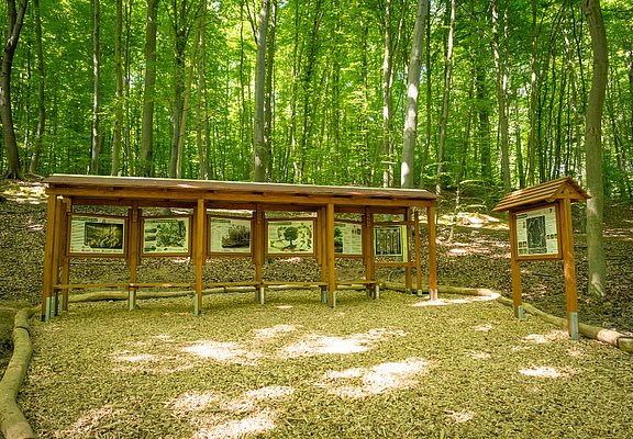 Waldentdeckerpfad Bad Neuenahr-Ahrweiler