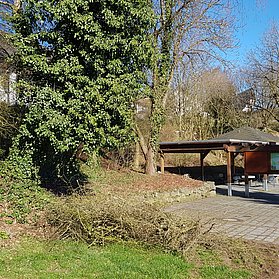 Startpunkt Radarena in Kirchwald