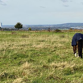 Aussicht auf Bonn vom Rodderberg aus