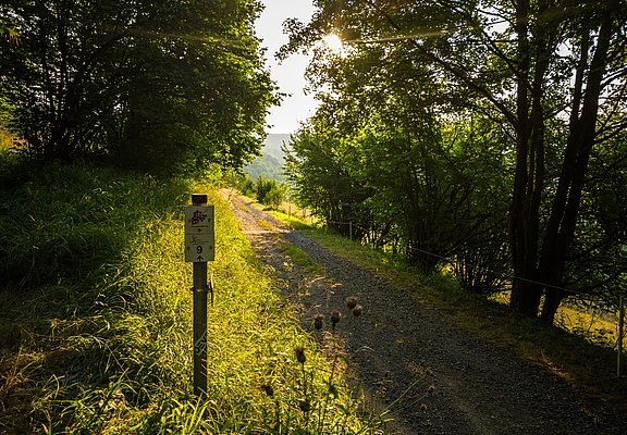 Weg zur Landskrone
