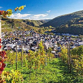 Blick auf Dernau