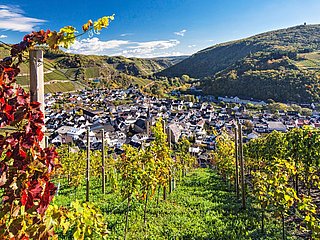 Blick auf Dernau