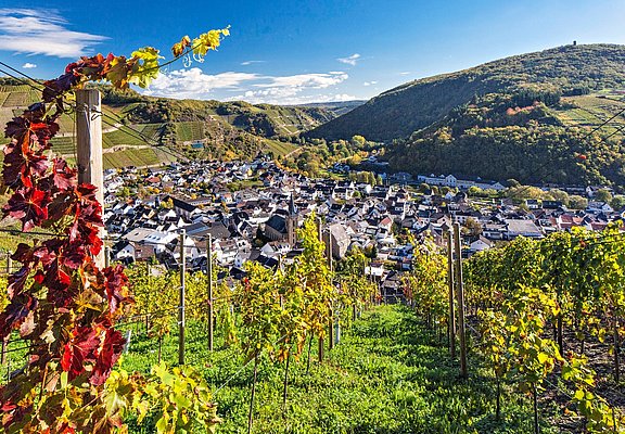 Blick auf Dernau