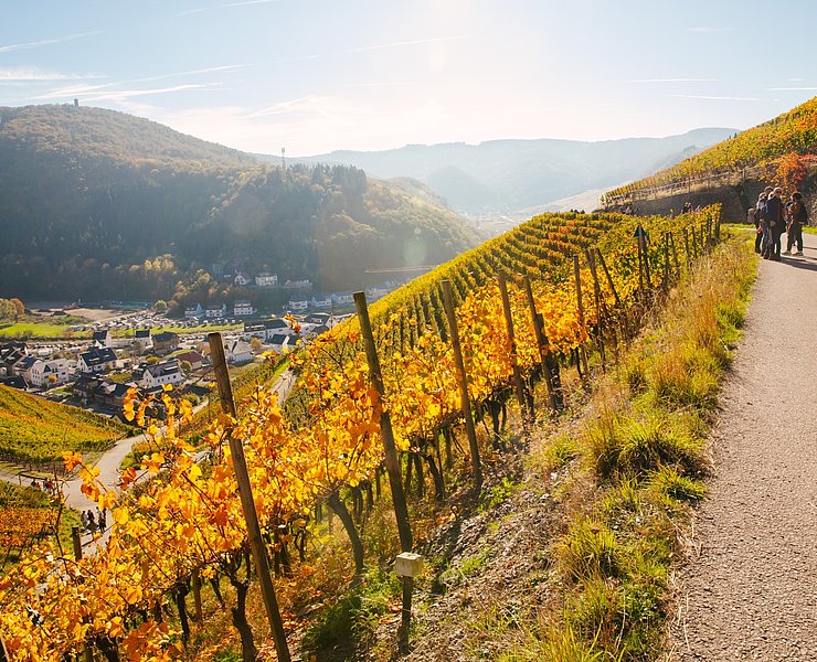 Weinherbst Mittelahr Blick zum Krausberg