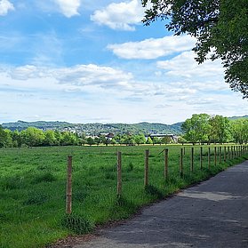 Wiesen und Felder auf dem Weg zur Ahrmündung