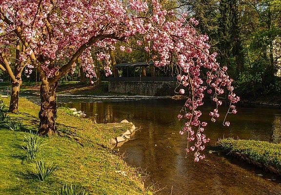 Natur und Stadt
