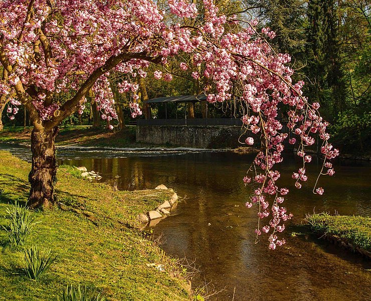Natur und Stadt
