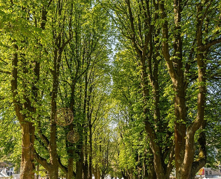Kurpark Bad Neuenahr