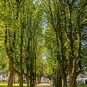Kurpark Bad Neuenahr