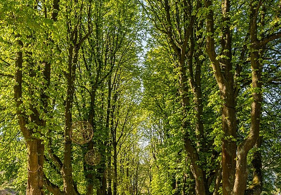 Kurpark Bad Neuenahr