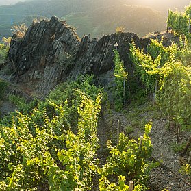 Weinberge im Ahrtal