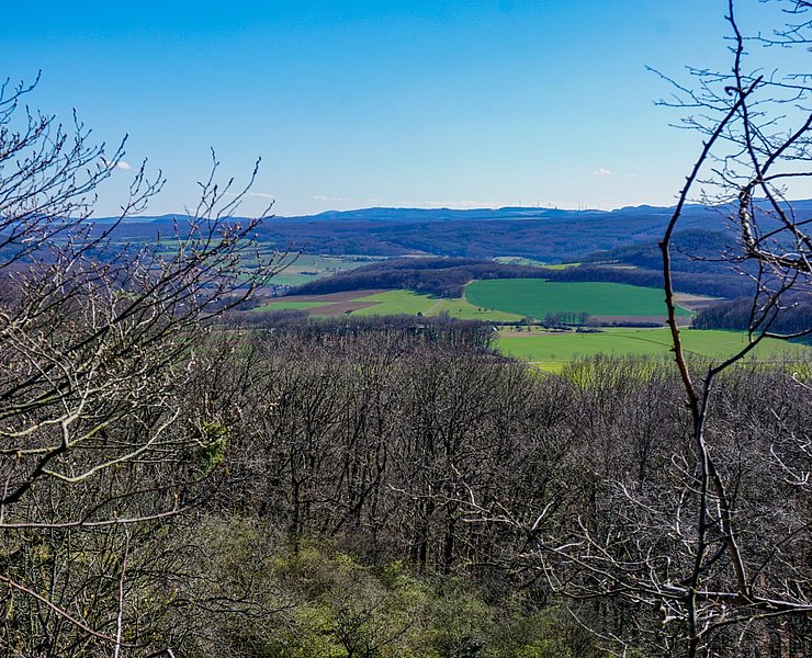 Blick vom Vulkan Scheidskopf auf die Eifelvulkane in der Ferne