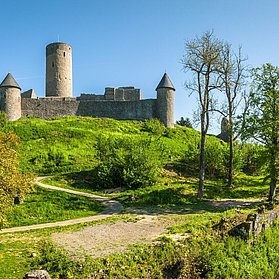 Rundwege um die Burgruien Nürburg