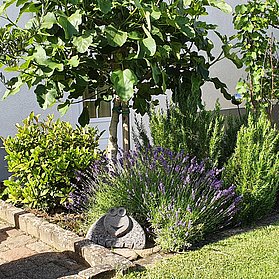 Garten 3