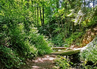 Maibachklamm, Walporzheim, Wingsbach, Ahrweiler, Ahrtal, AhrSteig, wandern