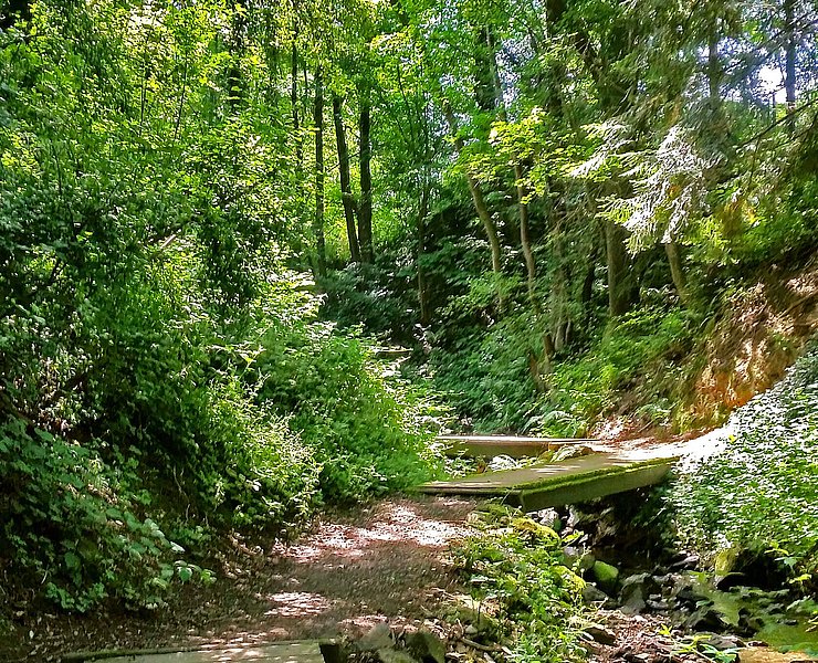 Maibachklamm, Walporzheim, Wingsbach, Ahrweiler, Ahrtal, AhrSteig, wandern