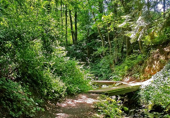 Maibachklamm, Walporzheim, Wingsbach, Ahrweiler, Ahrtal, AhrSteig, wandern