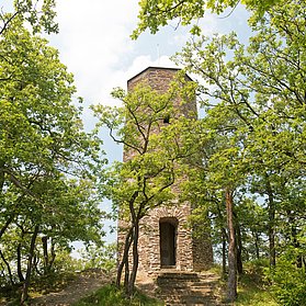 Krausberg, Ahrtal, Wandern, Dernau