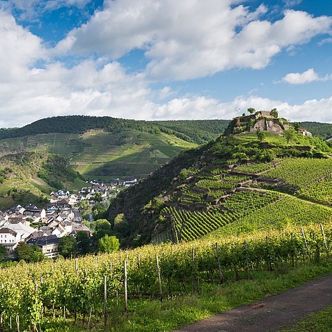 Blick auf die Saffenburg in Mayschoß