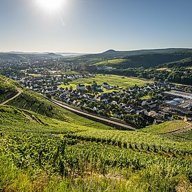 Ahrtal Sommer-2022-021-Olivenhain Weingut Kriechel