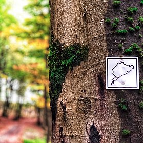 Wanderweg Auf den Spuren der grünen Hölle