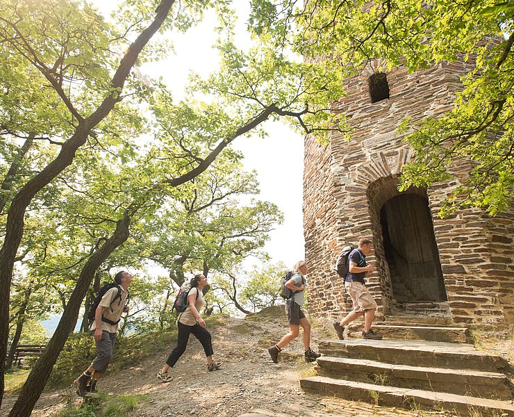 Krausberg, Ahrtal, Wandern, Dernau